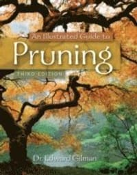 An Illustrated Guide to Pruning
