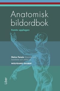 Anatomisk bildordbok