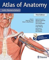 Atlas of Anatomy, 3e Latin