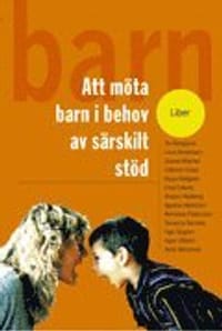 Att möta barn i behov av särskilt stöd