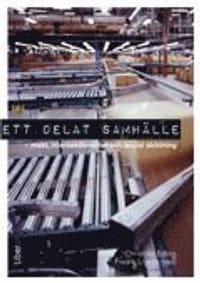 Ett delat samhälle : makt, intersektionalitet och social skiktning
