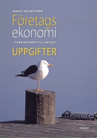 Företagsekonomi - från begrepp till beslut Uppgifter