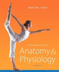 Fundamentals of Anatomy & Physiology