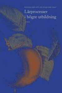 Lärprocesser i högre utbildning