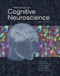 Principles of Cognitive Neuroscience