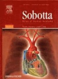 Sobotta Atlas of Human Anatomy Volume 2, 14th Edition: Thorax, Abdomen, Pelvis, Lower Limb
