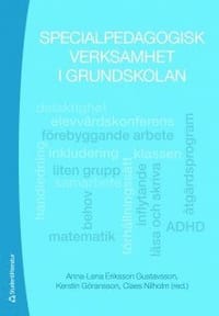 Specialpedagogisk verksamhet i grundskolan
