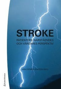 Stroke : patienters, närståendes och vårdares perspektiv