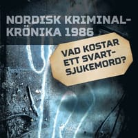 Vad kostar ett svartsjukemord? Ljudbok