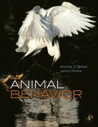 Animal Behavior (e-bok)