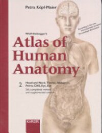 Atlas Der Anatomie Des Menschen