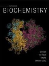 Biochemistry | 4:e upplagan