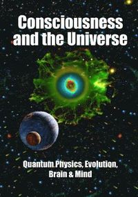 Consciousness and the Universe: Quantum Physics, Evolution, Brain & Mind