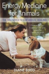 Energy Medicine for Animals