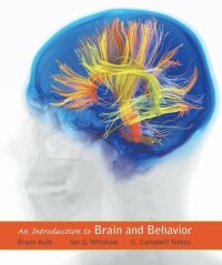 Introduction to Brain and Behavior (e-bok)