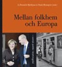 Mellan Folkhem och Europa - svensk politik i brytningstid