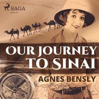 Our Journey to Sinai (ljudbok)