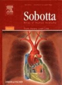 Sobotta Atlas of Human Anatomy Volume 2, 14th Edition: Thorax, Abdomen, Pelvis, Lower Limb