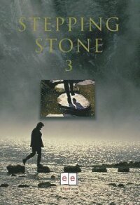 Stepping stone 3 inkl CD