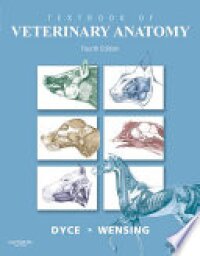 Textbook of Veterinary Anatomy - E-Book