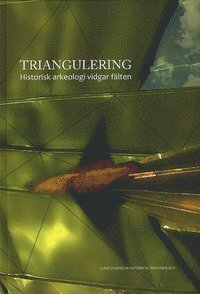 Triangulering : historisk arkeologi vidgar fälten