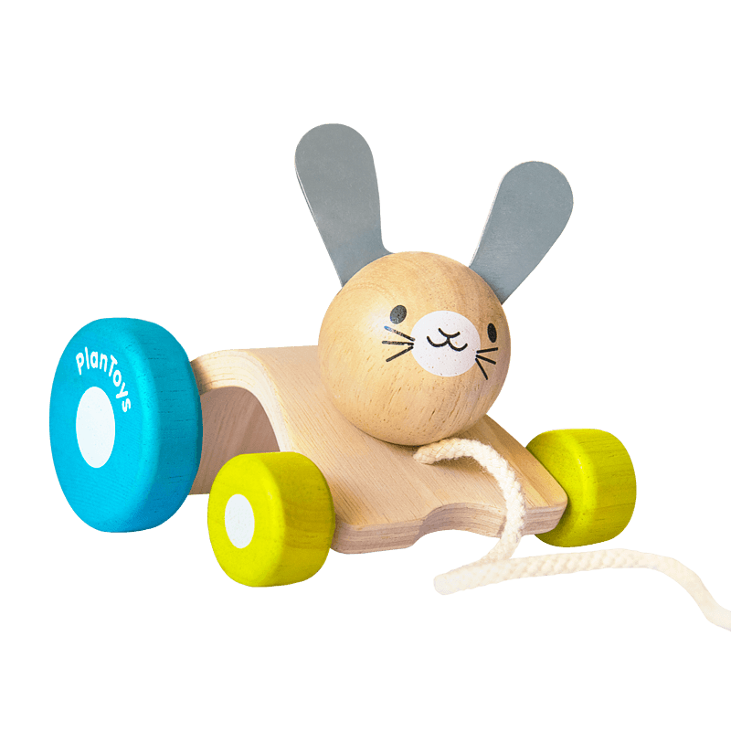 Hopping Rabbit