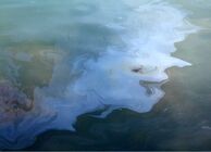 Waste water with oil and sludge