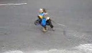 Världens sötaste apa på mini superbike!