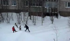 Finns bara i Ryssland eller övriga Europa