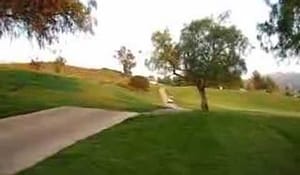 Misslyckat hopp med golfbil