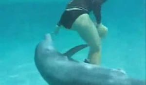 Snuskig delfin!
