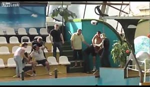 Fascinerande slagsmål i en rysk simhall